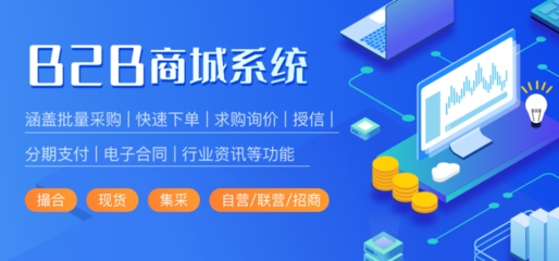 B2B电商系统开发成本分析 从基础搭建到定制化开发的全方位价格指南